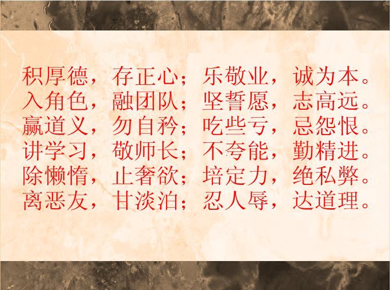 金算盘49829资料库