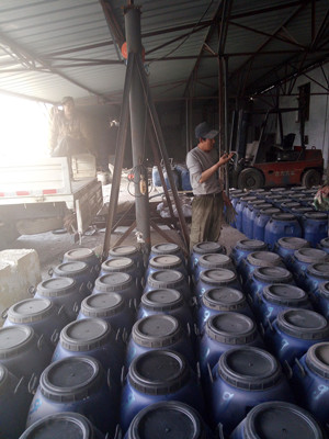 金算盘49829资料库