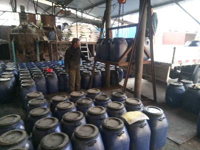 金算盘49829资料库