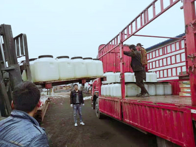 金算盘49829资料库