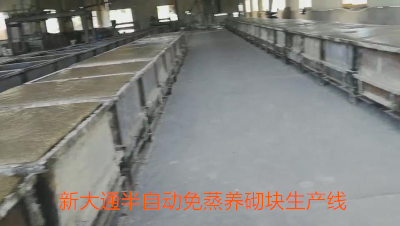 金算盘49829资料库