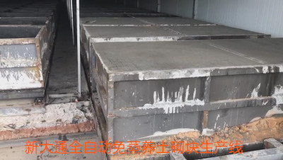 金算盘49829资料库