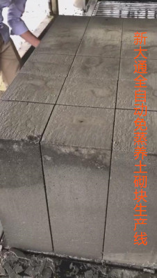 金算盘49829资料库