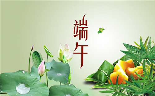 金算盘49829资料库