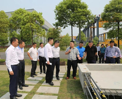 金算盘49829资料库