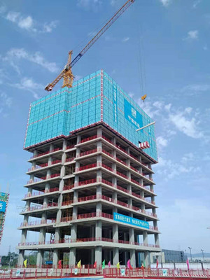 金算盘49829资料库